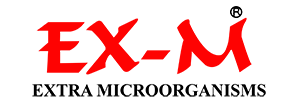 EX-M